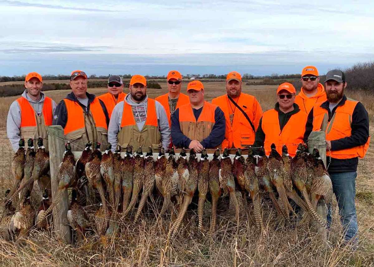 Guided Pheasant Hunts Photo
